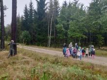 Przedszkolaki znowu w lesie