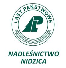 Nabór na staż w Nadleśnictwie