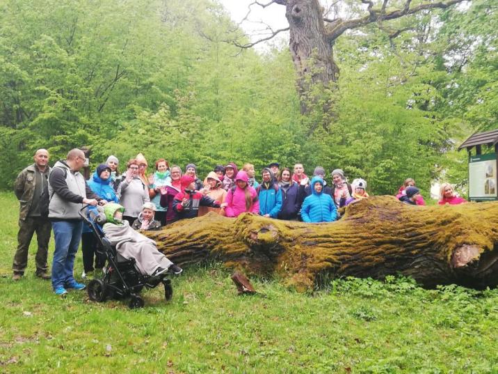 fot.: arch. N.Nidzica